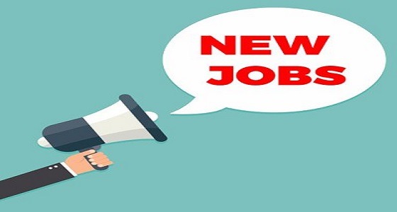 الأمومة والطفولة النسائية تعلن عن وظيفة ” مديرة تنفيذية “