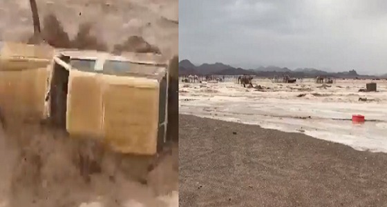بالفيديو.. السيول تجرف السيارات والإبل بتبوك
