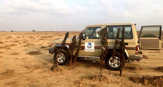 ضبط مخالفين لحظر صيد الطيور في مكة