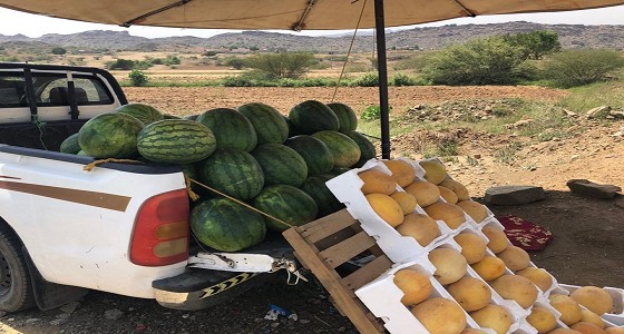 بالصور.. مصادرة بسطات عشوائية تديرها عمالة مخالفة بالعارضة