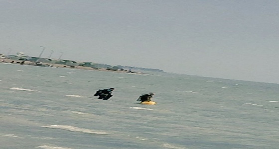 العثور على الداود متوفيا داخل البحر