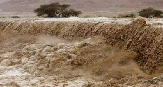 مصرع 7 أشخاص وفقدان 44 آخريين في سيول البحر الميت