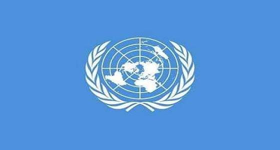 وظائف شاغرة بمنظمة الأمم المتحدة في 3 عواصم.. التفاصيل وطريقة التقديم