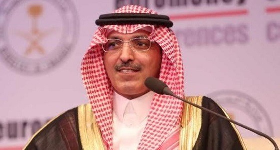 وزير المالية يؤكد أنه لدى الوزارة معلومات تفصيلية عن موظفي الدولة