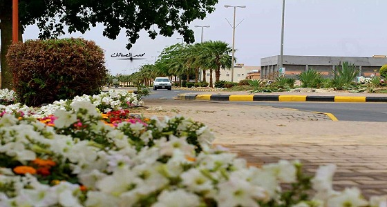 بالفيديو والصور.. جمال ساحر لـ طبرجل بعد هطول الأمطار والثلوج