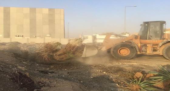 بالصور.. أمانة الرياض ترفع مخلفات بـ 210 حملة شاحنة لإزالة التلوث البصري