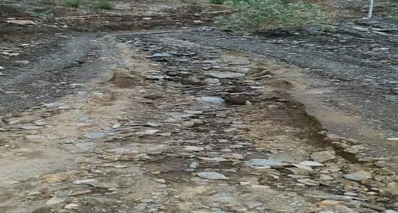 بالفيديو.. بلدية قنا تعيد فتح الطرق وتزيل المخلفات الناجمة عن الأمطار