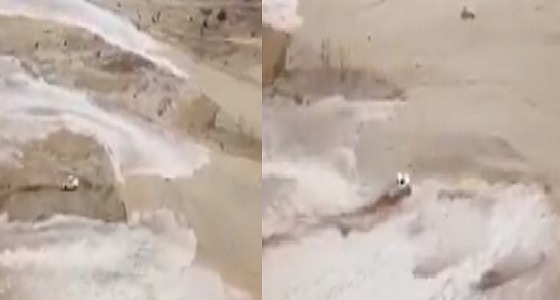 بالفيديو.. سائق سعودي يدهش برنامج أمريكي لتحكمه بالقيادة أثناء السيول