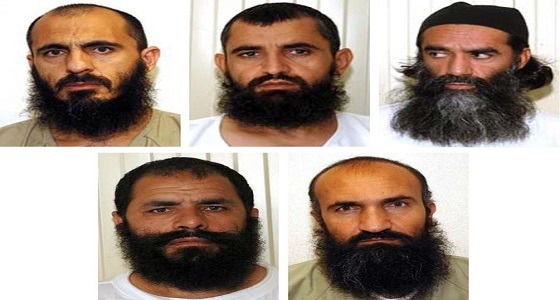 فصل جديد في رعاية قطر للإرهاب.. انضمام 5 من قادة طالبان للعمل بمكتب الدوحة