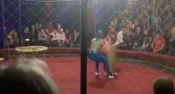 بالفيديو.. لبؤة تغرز أنيابها في وجه طفلة