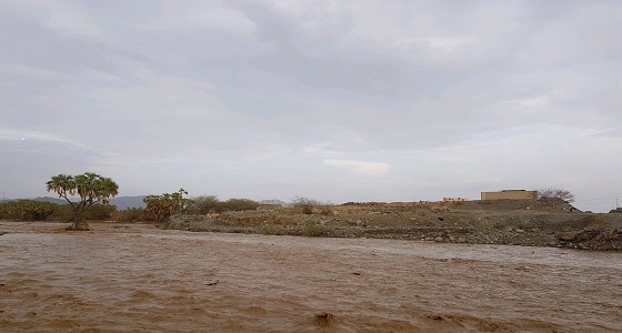 مصرع شقيقان غرقًا في مجرى وادي بيض بجازان