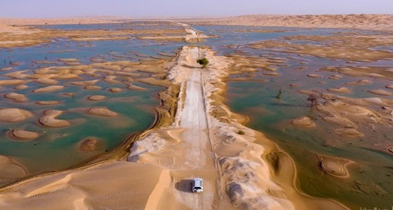 بالصور.. لوحة فنية رائعة شكلها ” ميكونو ولبان ” بصحراء الربع الخالي