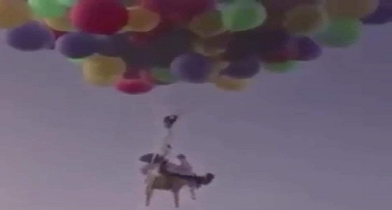بالفيديو.. ربطوا والدهم مع البالونات احتفالًا به فوجوده على جبال عمان