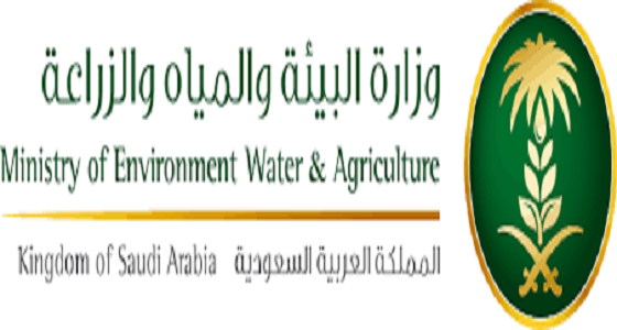 البيئة تبدأ في زراعة 150 ألف شجرة بمحافظة بيشة غداً