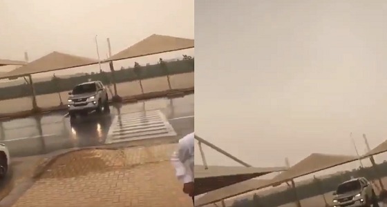 بالفيديو.. أمطار وصواعق قوية بالشرقية تثير الهلع