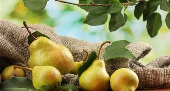 فوائد هامة للكمثرى تدفعك لتناولها يوميا