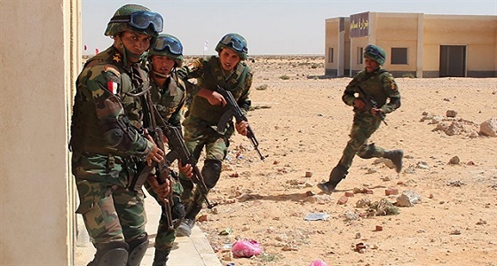 مقتل 15 مسلحا في مداهمة أمنية بمصر