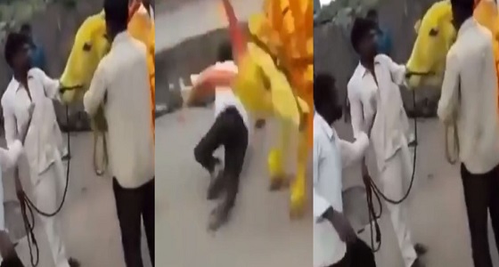 بالفيديو.. ثور هائج يهاجم رجل لم يعجبه رقصه