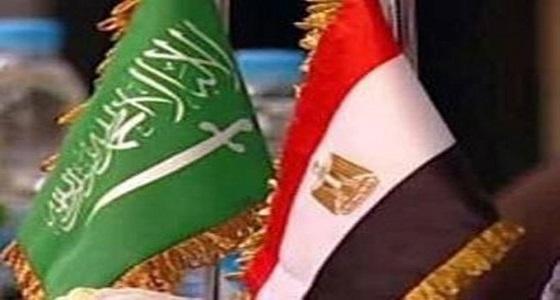 مصر ترحب بعزم المملكة المضي قدما فى تعزيز وحماية حقوق الإنسان