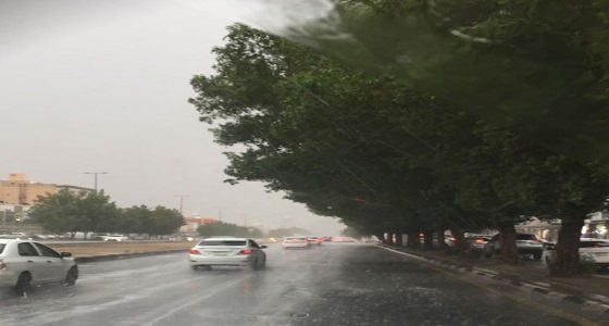 بالفيديو.. توقعات الأرصاد لطقس الغد ببعض مناطق الممكلة