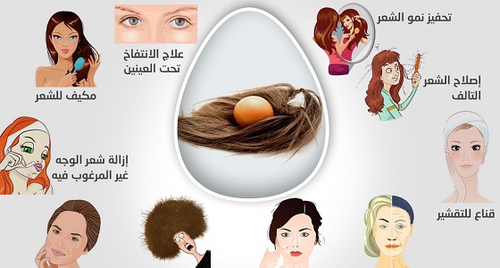 استخدامات جمالية للبيض بجانب فوائده الغذائية