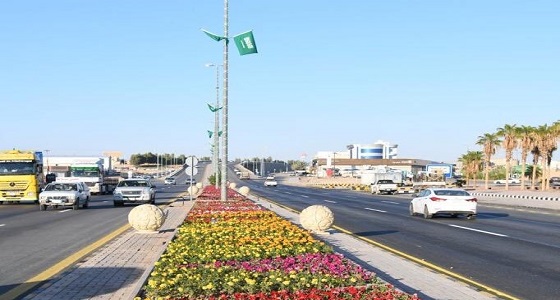 بالصور.. عرعر تستعد لاستقبال خادم الحرمين الشريفين بالورود