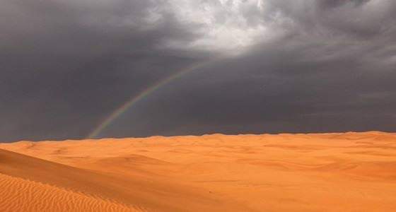 صور تظهر أجواء المطر في الرياض