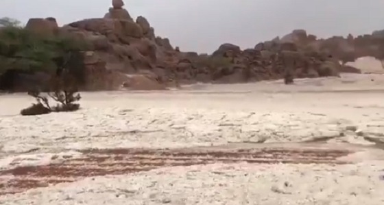 بالفيديو.. مشهد خلاب لجريان سيل البرد بمنطقة السليمي في حائل