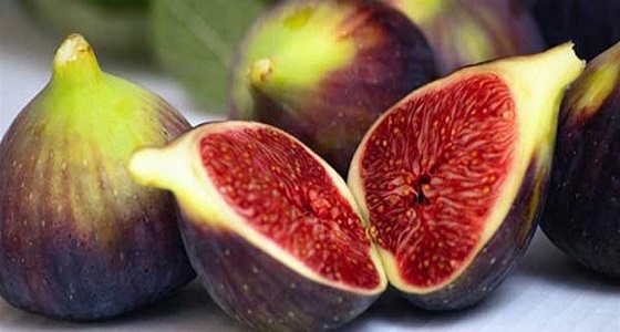 خبراء : ” التين ” ينافس أقوى العقاقير لعلاج العقم و الضعف الجنسي