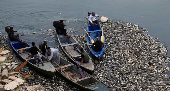 الكشف عن سبب نفوق أسماك نهر الفرات