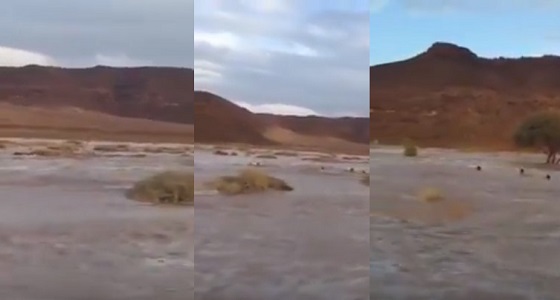 ” الدفاع المدني ” يبث فيديو لشباب مستهتر بالسيول وينشر رسالة له