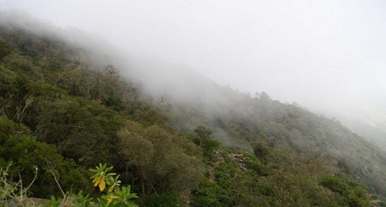 بالصور.. ضباب الجبل الأسود يحتضن قمم الجبال بالريث