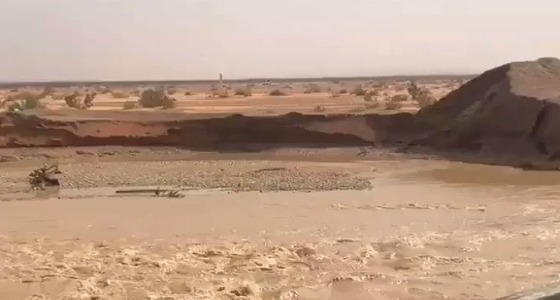 بالفيديو.. روضة الخفس الشمالية بالرياض تستقبل السيول