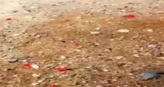 بالفيديو: خبير طقس يوضح سر ظهور بنت المطر في المملكة.. وهذا موعد ظهورها!