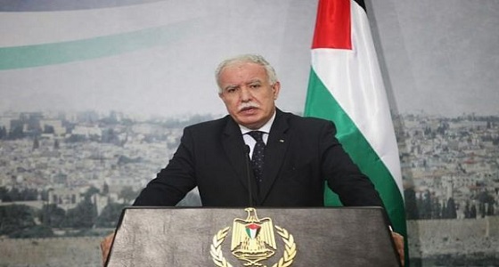 الخارجية: القضية الفلسطينية تحظى باهتمام عربي ودولي وعلى المجتمع الدولي تحمل مسؤولياته