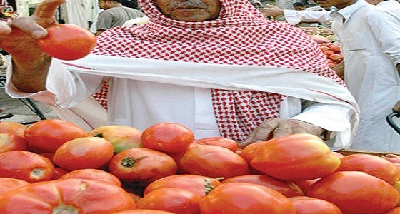 توضيح من وزارة البيئة بخصوص علاقة المبيدات بتغير لون الطماطم