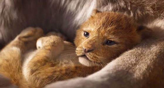 بالفيديو.. الكشف عن عدد مشاهدات تريلر فيلم The Lion King خلال 3 أيام