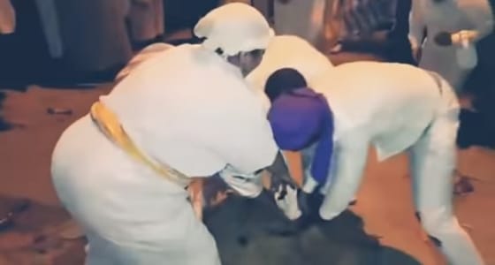 بالفيديو.. رجال ونساء ينتزعون أحشاء ” كبش ” والروح تدب فيه