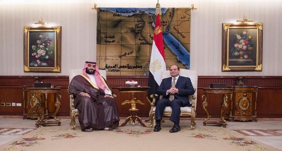 الأمير خالد بن سلمان: المملكة ومصر جناحي الأمة العربية