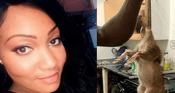 حياة امرأة تتحول إلى جحيم بعد اقتحام فئران بـ”حجم الكلاب” لمنزلها