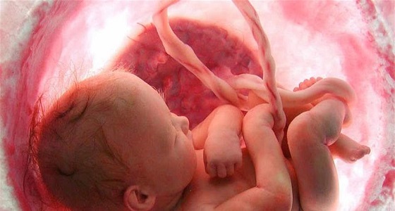للحامل.. احمي جنينك من التشوهات بهذه الطريقة