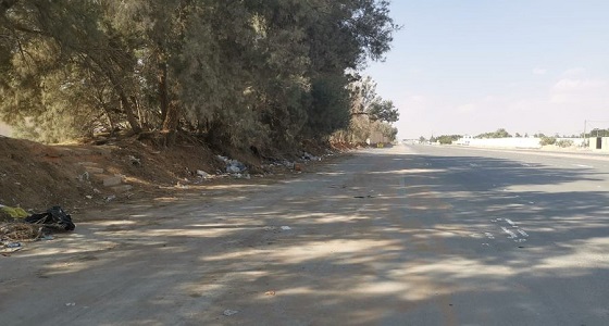 أمانة الرياض تفصل الخدمات عن 50 موقعا مخالفا