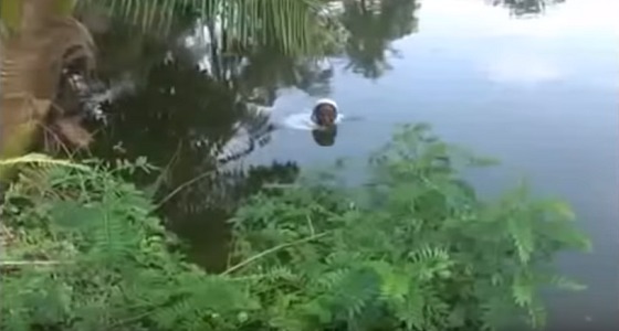 بالفيديو..مرض يجبر مُسنة على قضاء المتبقي من عمرها داخل بحيرة