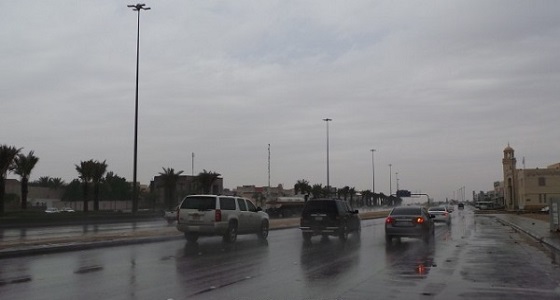 توقعات بهطول أمطار رعدية على الباحة ومحافظاتها
