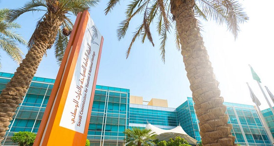 ضبط 94 مخالفة بمنشآت سياحية في الطائف والترخيص لـ 4 منشآت جديدة