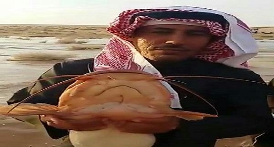 شاهد.. تصرف صادم لمواطن بعد اصطياد سمك القط من أحد الأودية بالقصيم