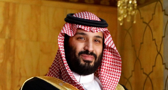 5 معلومات عن برنامج سند محمد بن سلمان