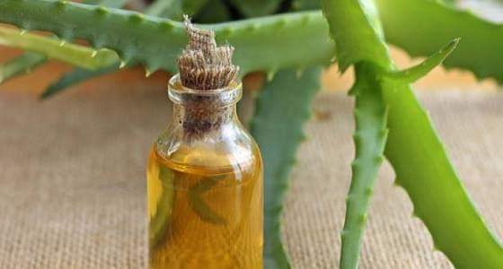 وصفة طبيعية من الصبار واللوز للعناية بالشعر الجاف