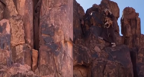 بالفيديو.. مشاهد إنسانية لمواطن ينقذ كلبا عَلِقَ بين صخرتين