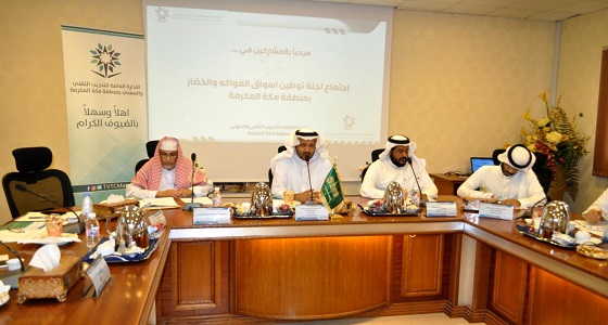 تنفيذ برنامج متكامل لتوطين النشاط وفق خطة زمنية مقترحة